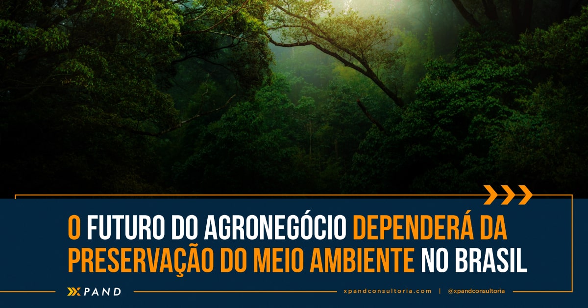 O futuro do agronegócio dependerá da preservação do meio ambiente no Brasil